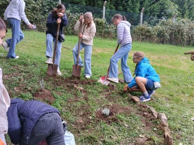 b2ap3_large_Photo-_20241007-125518_1