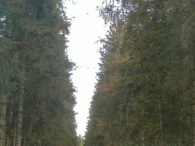 b2ap3_large_image00557
