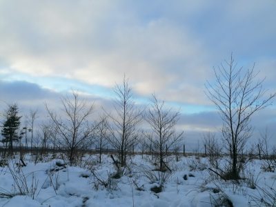 b2ap3_large_image00559