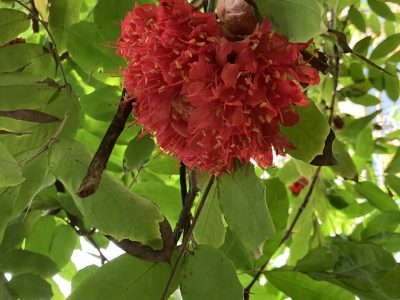 b2ap3_large_image00009