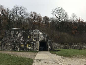 Séjour pédagogique avec nuitée au Fagotin P1-P2