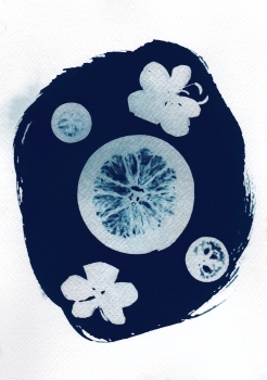 ateliers créatifs «céramique-vitrail- cyanotype»